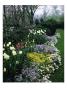 House & Garden - September 1951 by Andre Kertesz Limited Edition Print
