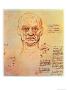 Drawing Of The Proportions Of The Head And Eye by Leonardo Da Vinci Limited Edition Print