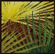 Three Palms, Panel B by Debra Jackson Limited Edition Pricing Art Print