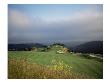 Tehama Golf Club, Carmel, California by Stephen Szurlej Limited Edition Print