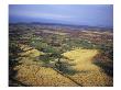 Kukio Golf & Beach Club, Aerial by Stephen Szurlej Limited Edition Print