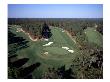 Pinehurst Golf Course No. 2, Aerial by Stephen Szurlej Limited Edition Pricing Art Print