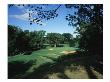 Olympia Fields Country Club North Course, Hole 7 by Stephen Szurlej Limited Edition Print