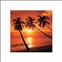 Tropical Sunset by Bob Thomas Limited Edition Print