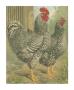 Roosters Ii by Cassell Limited Edition Print