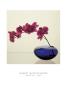 Orchids, C.1985 by Robert Mapplethorpe Limited Edition Pricing Art Print