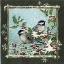 Winter Chickadees I by Anita Phillips Limited Edition Print