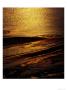 Sunset Detail At Eagle Bluff, Shark Bay, Australia by Richard I'anson Limited Edition Print