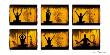 Yogi, Composition Zen by Olivier Follmi Limited Edition Print