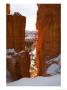 A View Through A Narrow Canyon Wall In Winter Into The Hoodoos, Bryce Canyon National Park, Utah by Taylor S. Kennedy Limited Edition Print