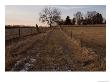 A Unpaved Path Leads Up To Steven's Creek Farm In Walton, Nebraska by Joel Sartore Limited Edition Print