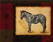 Savanna Zebra by Linda Wacaster Limited Edition Print