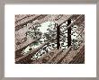 Puddle by M. C. Escher Limited Edition Print