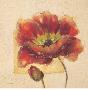 Pirouette Poppy by Eva Kolacz Limited Edition Pricing Art Print