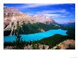 Overhead Of Peyto Lake And Mountains, Summer, Banff National Park, Canada by David Tomlinson Limited Edition Print