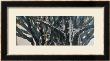 Branches by Yunlan He Limited Edition Pricing Art Print