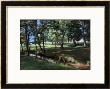 Shady Spot At The Botanical Gardens by Helen J. Vaughn Limited Edition Print