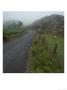 Ireland, Fog On Road Of Irish Countryside by Keith Levit Limited Edition Print