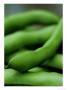 Close-Up Of Green Broad Beans by James Guilliam Limited Edition Print