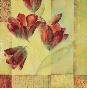 Tulip Anthology Ii by Annie Saint Leger Limited Edition Print