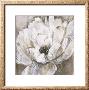 Peonies Blanche I by Liv Carson Limited Edition Pricing Art Print