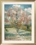 Peach Trees In Bloom, 1888 by Vincent Van Gogh Limited Edition Print