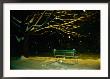 Snow Falls On A Park Bench At Night by Raymond Gehman Limited Edition Print