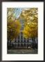 The Wisconsin State Capitol Surrounded By Lush Amber Fall Foliage by Eightfish Limited Edition Pricing Art Print