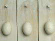Easter Eggs Hanging On Wall by Achim Sass Limited Edition Pricing Art Print