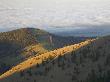 Germany, Bavaria, Chiemgau Alps, Mountain Scenery With Cloud Layer by Fotofeeling Limited Edition Print