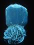 Selenite Form Of Gypsum, A Fluorescent Mineral Photographed Under Short-Wave Uv Light, Manitoba, Ca by Mark Schneider Limited Edition Print