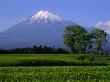 Snow Capped Mountain And Hedges by Hisashi Mochizuki Limited Edition Print