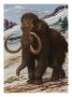 The Woolly Mammoth Is A Close Relative To The Modern Elephant by National Geographic Society Limited Edition Print