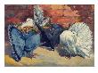 Fancy Pigeons Known For Their Fan-Shaped Tail. by National Geographic Society Limited Edition Pricing Art Print
