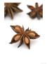 Star Anise, Illicium Verum by Geoff Kidd Limited Edition Pricing Art Print