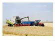 Combine Harvester Unloading Grain Into Trailer, England by Martin Page Limited Edition Print