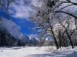 Winter Countryside Under Snow, Yosemite Valley, California, Usa by Thomas Winz Limited Edition Print