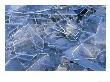 Sheets Of Broken Ice, Close-Up Detail, Feb, Highland, Uk by Mark Hamblin Limited Edition Print