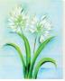 White Agapanthus by Dona Turner Limited Edition Pricing Art Print