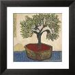 Caribbean Still Life Ii by Sarah Van Beckum Limited Edition Pricing Art Print