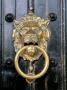 Close-Up Of A Lion Door Knocker, South Kensington, London, England, United Kingdom by Brigitte Bott Limited Edition Print