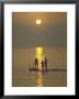 Sunset Over The Calm Waters In Menemsha Bay, Martha's Vineyard by Alfred Eisenstaedt Limited Edition Print