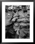 Little Boy Peeking Between Police Men To See Dwight D. Eisenhower Give His Speech by Ralph Morse Limited Edition Print