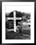 Poet Dylan Thomas' Grave Site Located In St. Martin's Churchyard by Terence Spencer Limited Edition Print