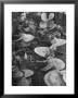 Ship Propellors, Bethlehem Steel by Andreas Feininger Limited Edition Print