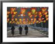 Bicycle Riders At Entranceway To Festival, Ice And Snow Festival, Harbin, Heilongjiang, China by Walter Bibikow Limited Edition Pricing Art Print