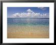 Colon Island Star Beach, Bocas Del Toro Province, Panama by Jane Sweeney Limited Edition Pricing Art Print