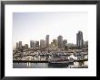 Downtown Skyline And Bayside Marina, Miami, Florida, United States Of America, North America by Angelo Cavalli Limited Edition Print