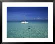 Yacht Moored In The North Sound, With Stringrays Visible Beneath The Water, Cayman Islands by Tomlinson Ruth Limited Edition Print