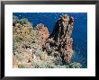 Cap De Dramont, Corniche De L'esterel, Var, Cote D'azur, French Riviera, Provence, France by Bruno Barbier Limited Edition Print